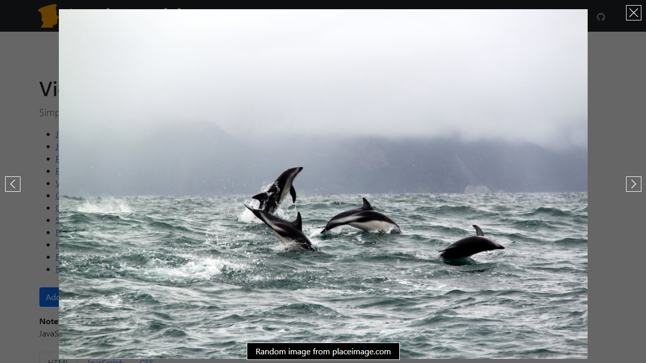 File and gallery viewer